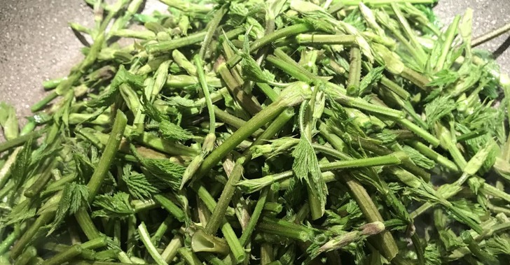 Kilosu 1.000 Euro! Türk Çiftçisi Bunu "Ot" Diye Atıyor, Avrupa'da Krallar Yiyor