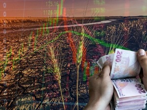 Kuraklık milyarderleri: Gıda enflasyonunun "gizli kazananları" ve yatırımcının radarındaki 3 kritik hisse