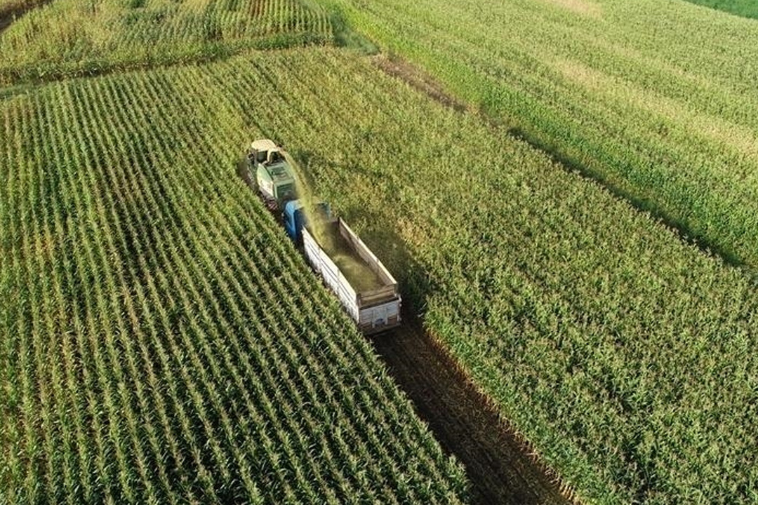 T&Uuml;İK duyurdu! &Ccedil;ift&ccedil;inin kasım ayı enflasyonu belli oldu