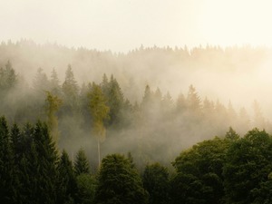 Meteoroloji'den g&ouml;r&uuml;ş mesafesi uyarısı: Sis ve buzlanmaya dikkat!