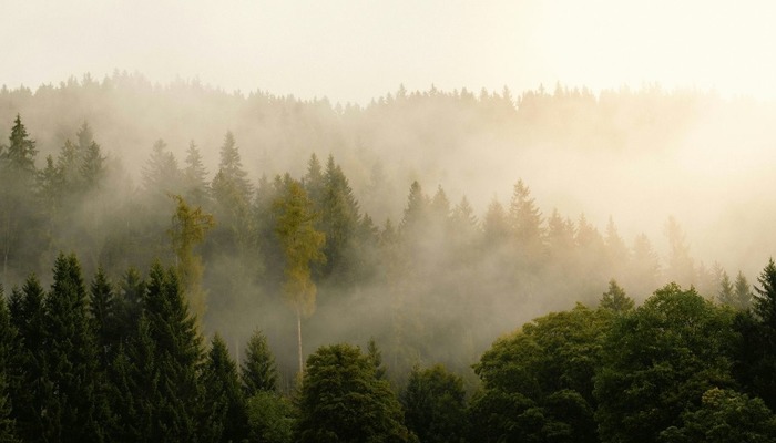 Meteoroloji'den g&ouml;r&uuml;ş mesafesi uyarısı: Sis ve buzlanmaya dikkat!