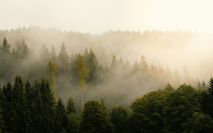 Meteoroloji'den g&ouml;r&uuml;ş mesafesi uyarısı: Sis ve buzlanmaya dikkat!