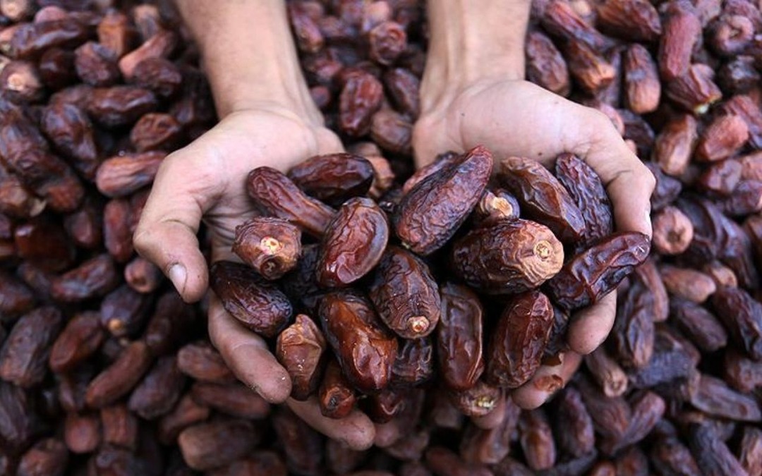 T&uuml;rkiye'den Filistin&rsquo;e destek: Hurma kotası 7 bin tona &ccedil;ıkarıldı!