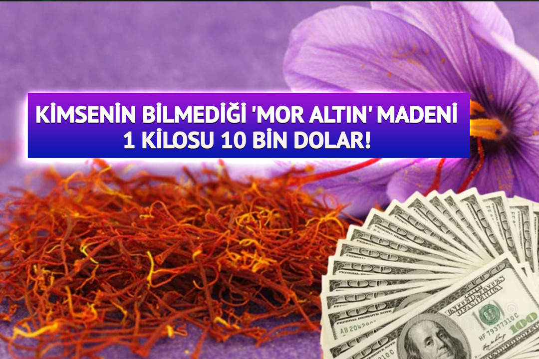 Kimsenin Bilmediği 'Mor Altın' Madeni: 1 Kilosu 10 Bin Dolar!