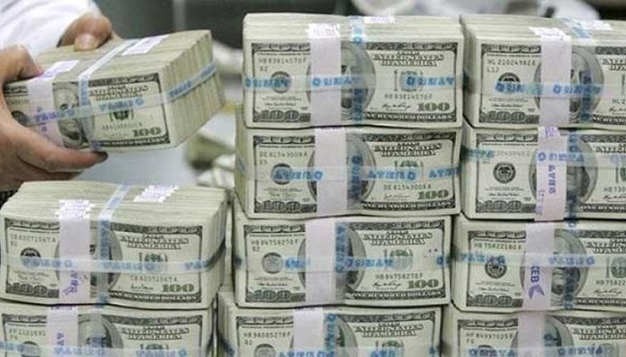 Kripto yatırımcısı hatası sayesinde 50 milyon dolar kaybetti! Giden paradan sonra gelen mesaj şoke etti