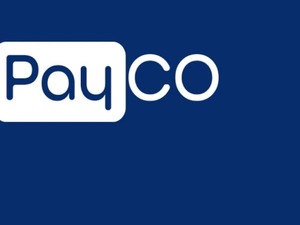 Payco soruşturmasında ikinci dalga: 28 g&ouml;zaltı kararı 