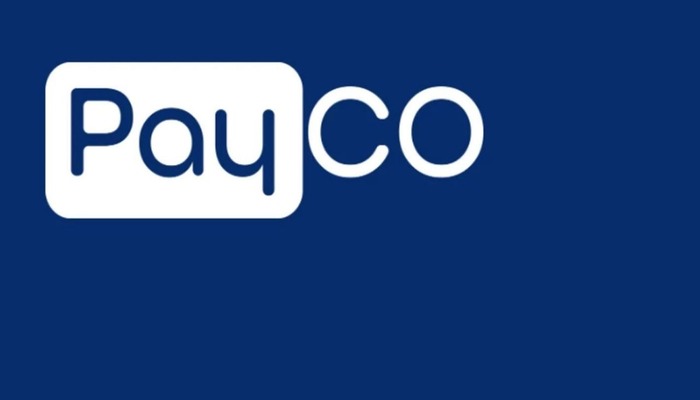 Payco soruşturmasında ikinci dalga: 28 g&ouml;zaltı kararı 