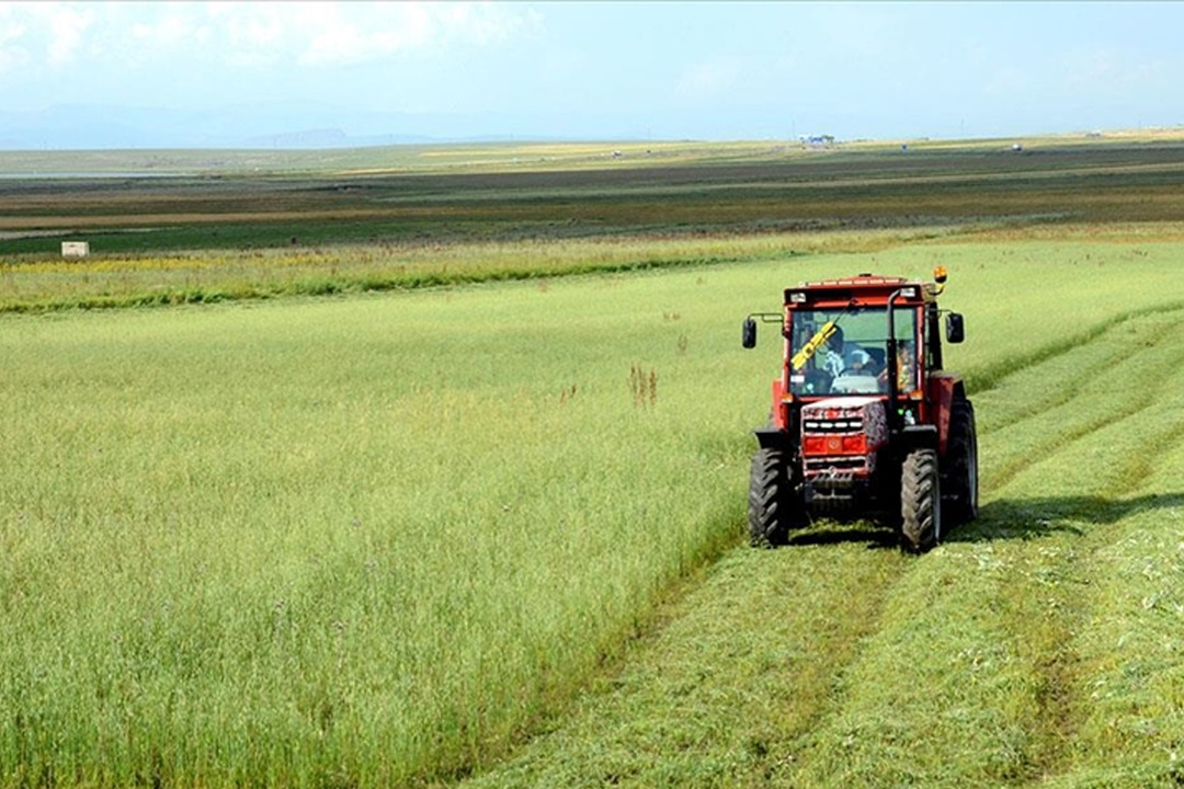 Tarımda zayıf tablo! Bitkisel &uuml;retim geriledi