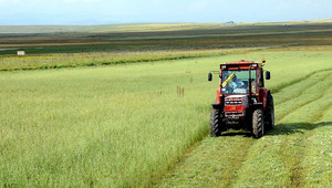 Tarımda zayıf tablo! Bitkisel &uuml;retim geriledi
