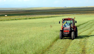 Tarımda zayıf tablo! Bitkisel &uuml;retim geriledi