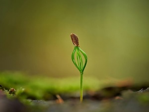 Fide sekt&ouml;r&uuml;ne y&ouml;nelik rekabet soruşturması başlatıldı