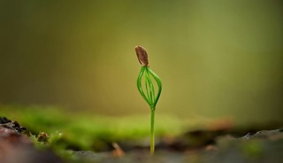 Fide sekt&ouml;r&uuml;ne y&ouml;nelik rekabet soruşturması başlatıldı