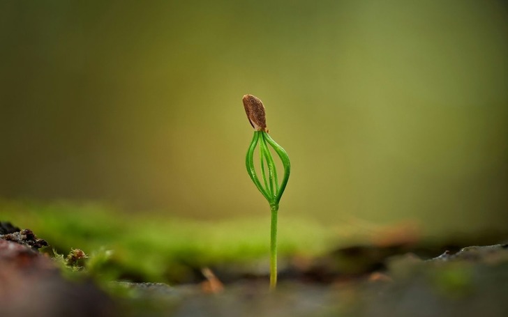 Fide sekt&ouml;r&uuml;ne y&ouml;nelik rekabet soruşturması başlatıldı