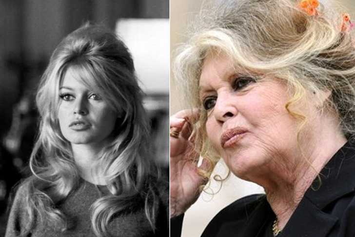 Fransız sinemasının ikonu Brigitte Bardot'tan acı haber
