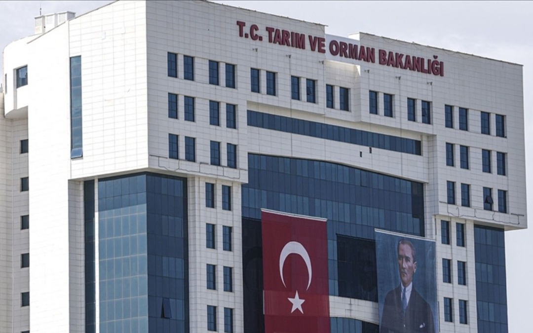 İhracatta kullanılan ahşap ambalaj malzemelerine ilişkin y&ouml;netmelikte d&uuml;zenleme