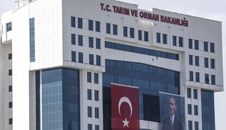 İhracatta kullanılan ahşap ambalaj malzemelerine ilişkin y&ouml;netmelikte d&uuml;zenleme