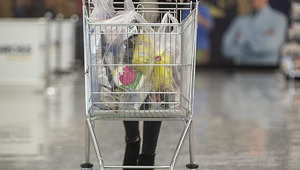 2026 yılı zamlı emekli maaşlarını belirleyecek! Enflasyon verisinin a&ccedil;ıklanmasına sayılı g&uuml;nler kaldı: Beklentiler a&ccedil;ıklandı