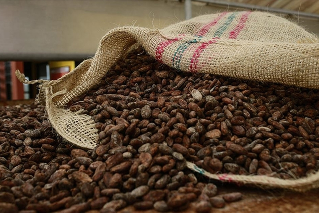 T&uuml;m zamanların en hızlı yıllık d&uuml;ş&uuml;ş&uuml;! Yine ABD'nin parmağı var: Tekrar y&uuml;kselecek mi?