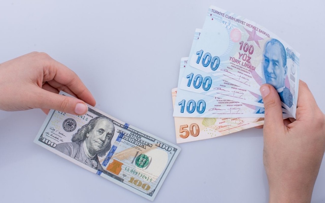 Reel efektif d&ouml;viz kuru endeksi Aralık'ta 71,11 oldu