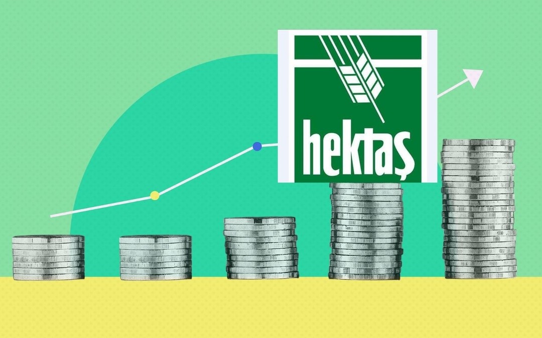 Hektaş'tan sermaye hamlesi: Tavan 25 milyar TL'ye y&uuml;kseliyor, hisseler hareketlendi