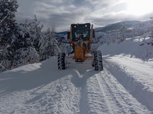 Erzurum, Ardahan ve Erzincan'da 940 yerleşim yerine ulaşım sağlanamıyor