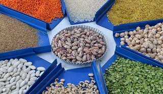 Hedef G&uuml;ney Kore pazarı! Seul'de ticaret heyeti programına katılacaklar