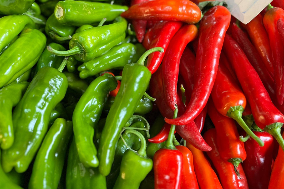 Batı Akdeniz'de ihracat şampiyonu oldu! "B&ouml;lgemizde her yıl domates ilk sırada olurdu"