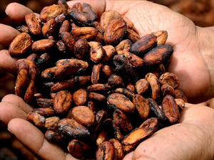 Fiyatlardaki d&uuml;ş&uuml;ş durdurulamıyor! Tonu 5 bin 400 dolara kadar geriledi