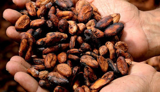 Fiyatlardaki düşüş durdurulamıyor! Tonu 5 bin 400 dolara kadar geriledi