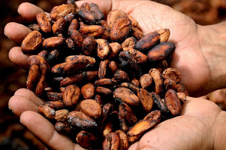 Fiyatlardaki d&uuml;ş&uuml;ş durdurulamıyor! Tonu 5 bin 400 dolara kadar geriledi