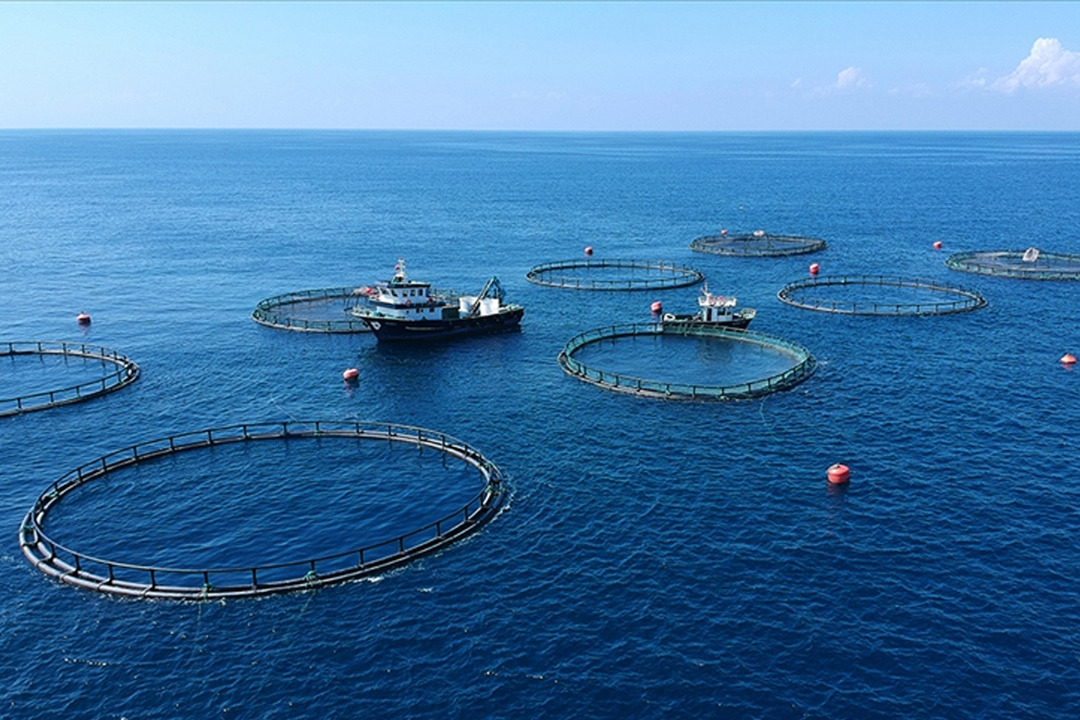 2025'e kıyasla ihracatı y&uuml;zde 5 arttı! 4 milyar doları aştı