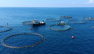 2025'e kıyasla ihracatı y&uuml;zde 5 arttı! 4 milyar doları aştı