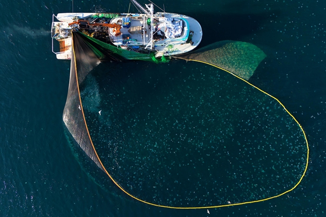 Sinop'tan ge&ccedil;en yıl 164 milyon doların &uuml;zerinde su &uuml;r&uuml;nleri ihra&ccedil; edildi