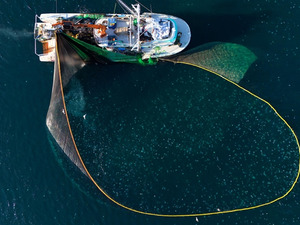 Sinop'tan ge&ccedil;en yıl 164 milyon doların &uuml;zerinde su &uuml;r&uuml;nleri ihra&ccedil; edildi