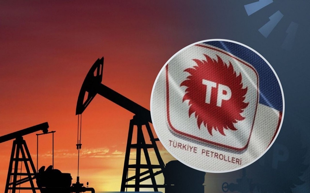 T&uuml;rkiye&rsquo;nin enerji devinde bayrak değişimi: TPAO&rsquo;da Cem Erdem d&ouml;nemi başladı