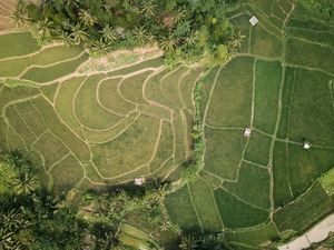 Binlerce vatandaşa tapu m&uuml;jdesi: 2B arazileri i&ccedil;in ek s&uuml;re geliyor!