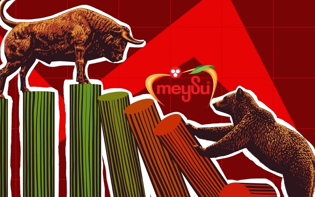 MEYSU'ya BofA desteği geldi: Hisse yeniden tavana g&ouml;z kırpıyor