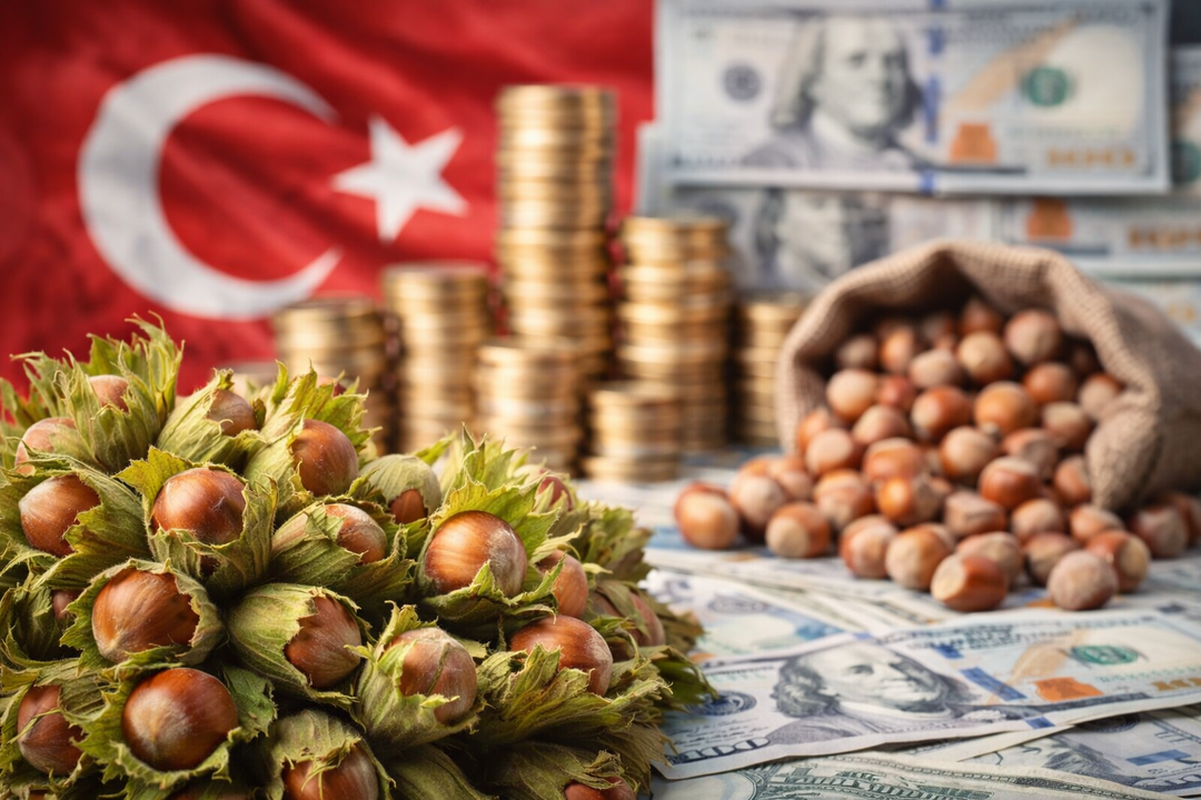 Fındıkta rekor yılı: T&uuml;rkiye&rsquo;nin 'yeşil altını' 2,3 milyar dolarlık d&ouml;viz yağdırdı