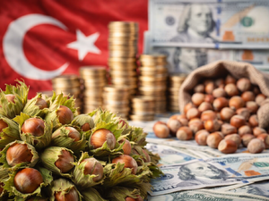 Fındıkta rekor yılı: T&uuml;rkiye&rsquo;nin 'yeşil altını' 2,3 milyar dolarlık d&ouml;viz yağdırdı