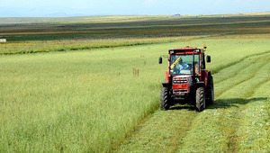 Tarım-GFE yıllık y&uuml;zde 34,24 arttı