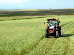 Tarım-GFE yıllık y&uuml;zde 34,24 arttı