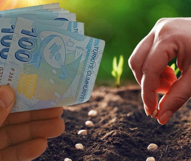 &Ccedil;ift&ccedil;iye tam 500 bin TL faizsiz kredi verilecek! İşte tarımsal destek paketi başvuru şartları