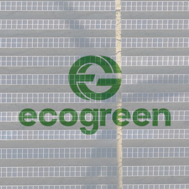 Ecogreen Enerji (ECOGR)'den Ankara hamlesi! Yeni bir şube a&ccedil;ılacak: Hisselerde son durum ne?