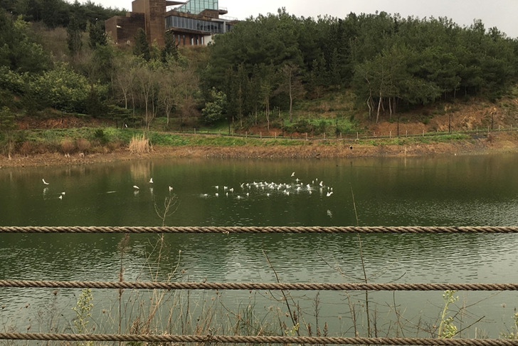 Su tasarrufu i&ccedil;in yeni d&ouml;nem! Yağmur suyu ve gri su sistemleri zorunlu oluyor
