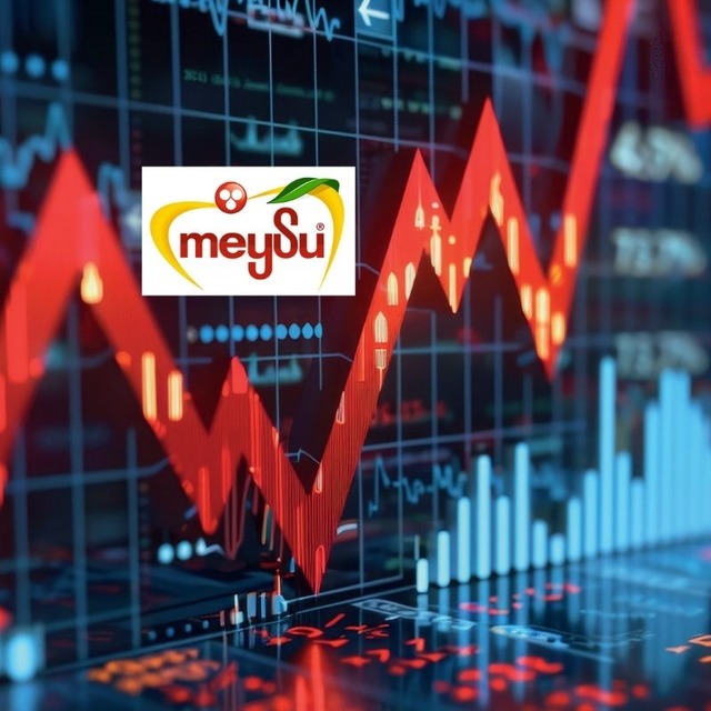 Kayıplar arttı! MEYSU hisselerinde devre kesici uygulandı