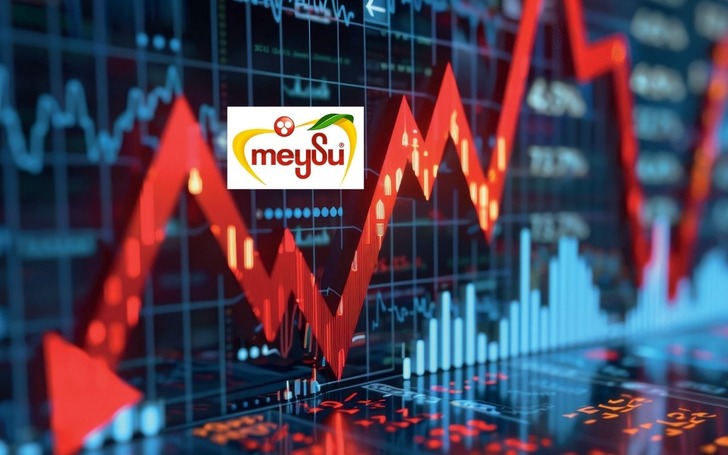 Kayıplar arttı! MEYSU hisselerinde devre kesici uygulandı