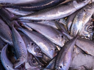 Olumsuz hava koşulları balık fiyatlarını artırdı