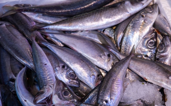 Olumsuz hava koşulları balık fiyatlarını artırdı