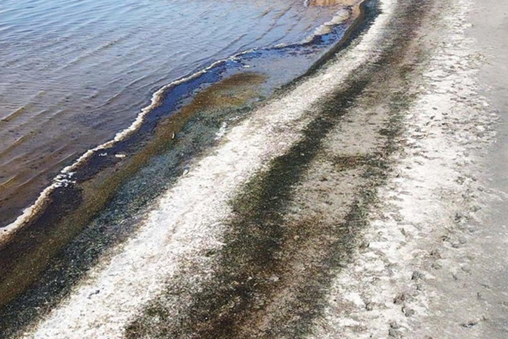 D&uuml;nya genelinde s&uuml;ren sulak alan kaybı, k&uuml;resel ekonomiyi tehdit ediyor