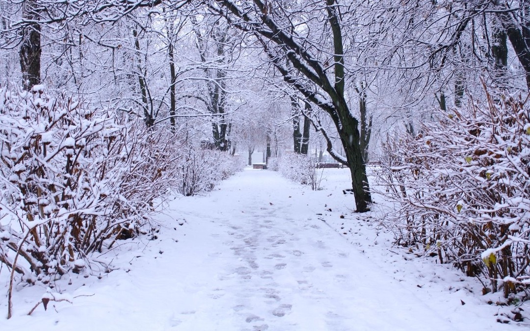 Yurdun bazı b&ouml;lgeleri i&ccedil;in kuvvetli sağanak ve kar uyarısı